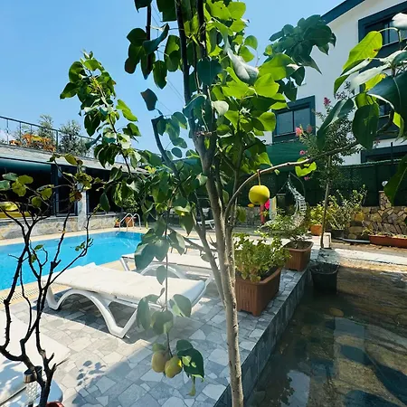 Nil S Place Guere,edremit * Hoevelaken